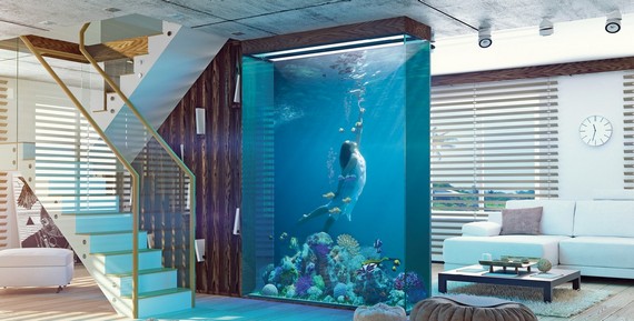 Aquarienrückwand mit einer Unterwasseraufnahme einer Meerjungfrau